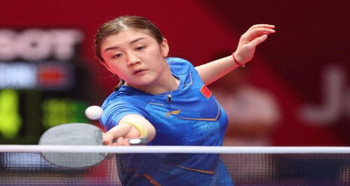 德米洛维奇 德米洛维奇