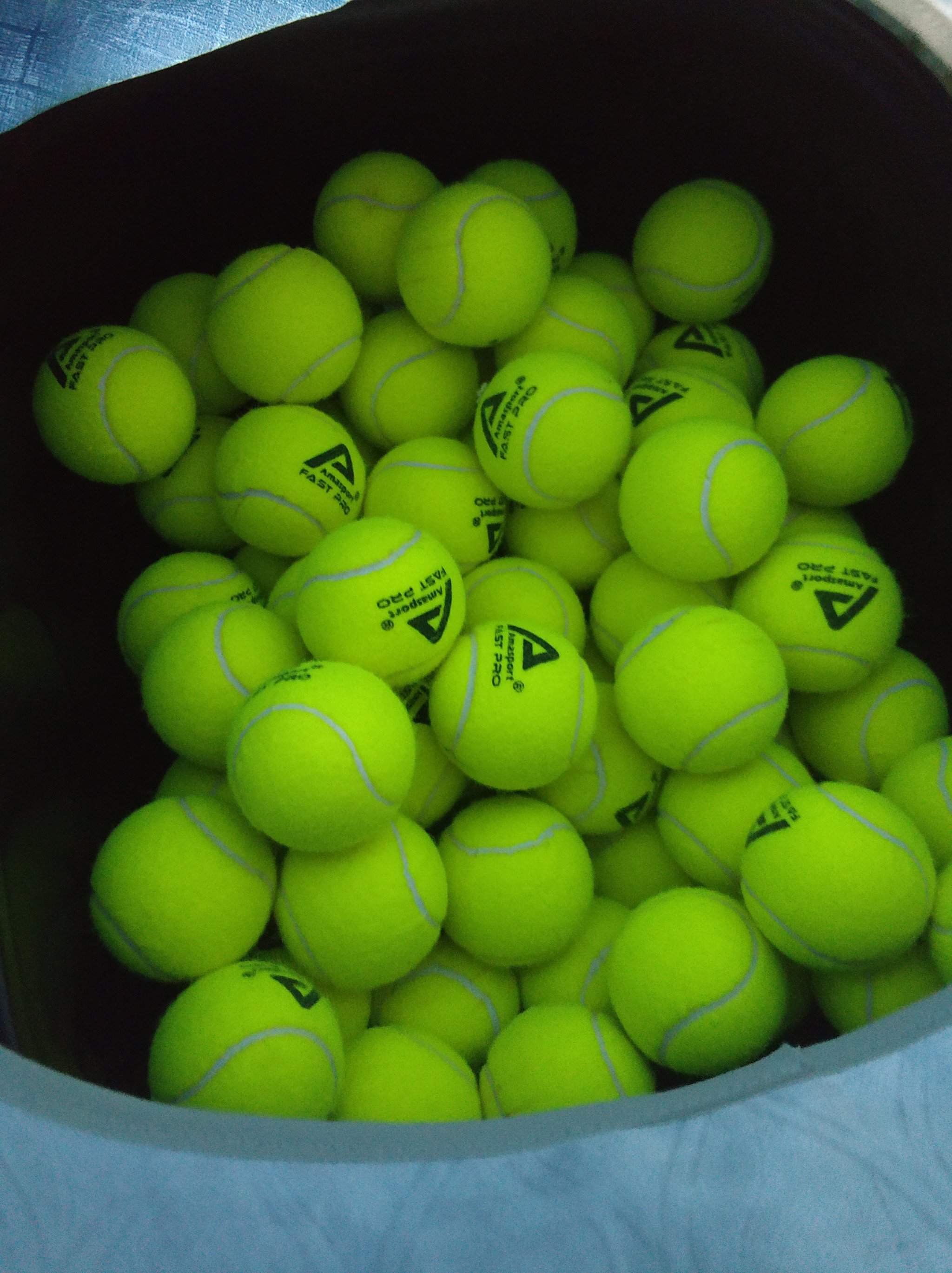 属于他们的 属于他们的