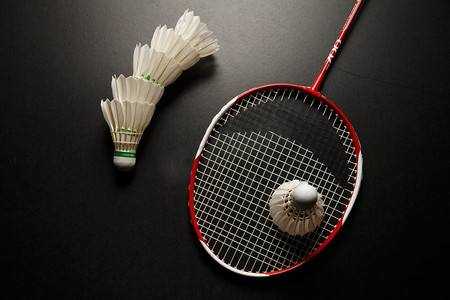 高度默契的 高度默契的