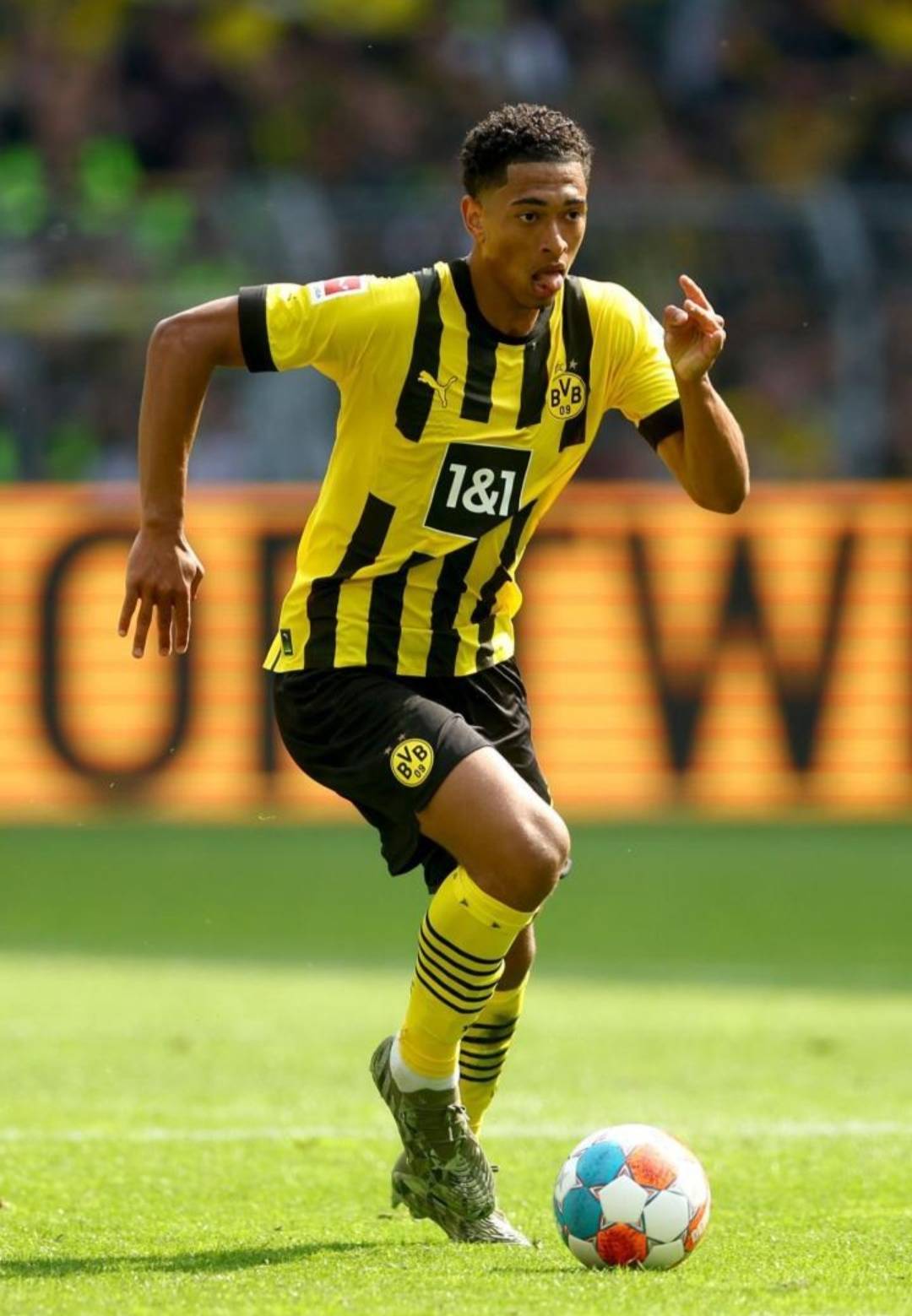 此时即便不 此时即便不